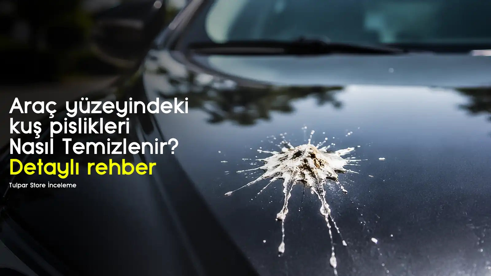Araç yüzeyindeki kuş pisliği nasıl temizlenir rehber