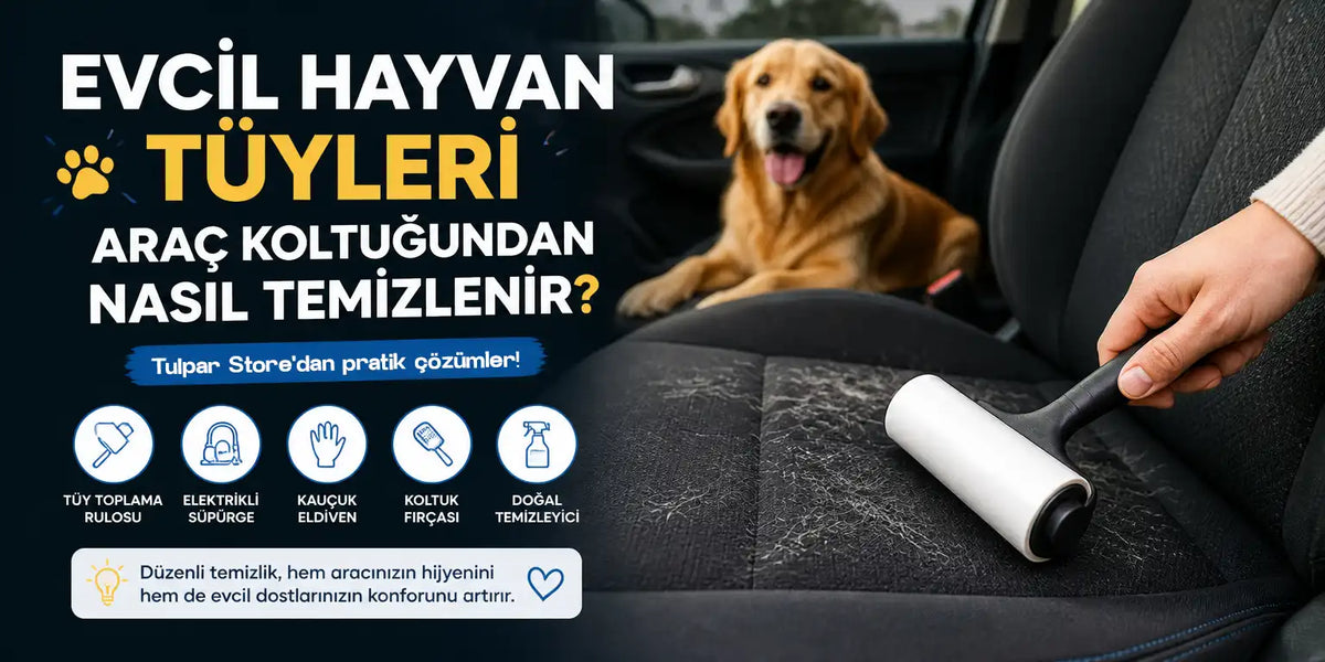 evcil hayvan tüyleri otomobil koltuğundan nasıl temizlenir bilgilendirici içerik