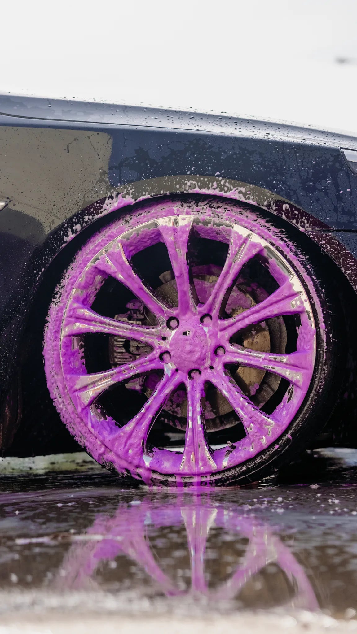 Factor360 Renkli Pembe Mavi Mor Sarı pH Nötr Oto Yıkama Şampuanı