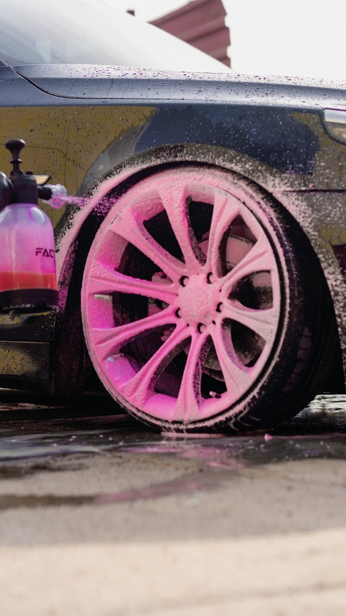 Factor360 Renkli Pembe Mavi Mor Sarı pH Nötr Oto Yıkama Şampuanı