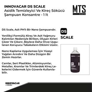 INNOVACAR DS SCALE Asidik Temizleyici Ve Kireç Sökücü Şampuan Konsantre 1 LT